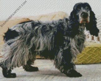 English Cocker Spaniel01 diamond painting