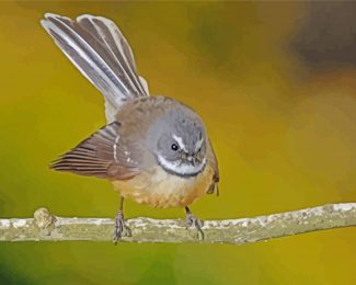 fantail bird diamond painting