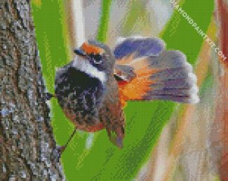 fantail bird animal diamond paintings