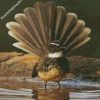 fantail bird animal diamond paintings