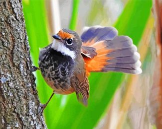 fantail bird animal diamond painting