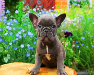 Frenchie Puppy diamond painting