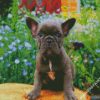 Frenchie Puppy diamond painting