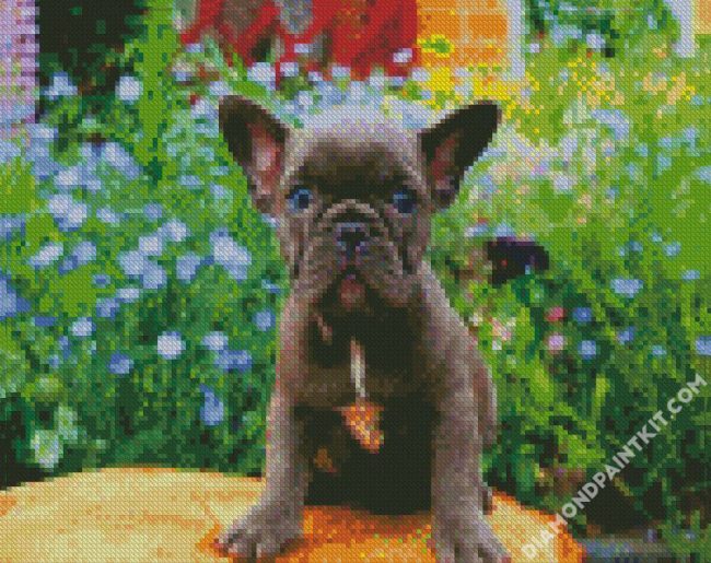 Frenchie Puppy diamond painting