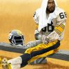 Greenwood Steelers diamond painting