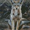 grey Coyote diamond paintings