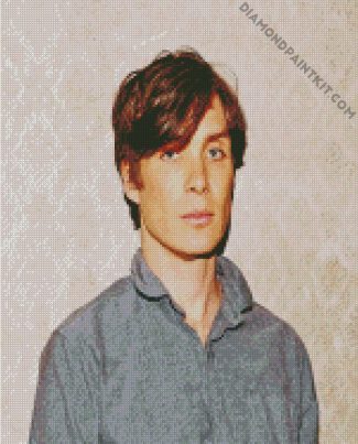 Handsome Cillian Murphy diamond painting