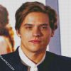 handsome dylan sprouse actor diamond paintings