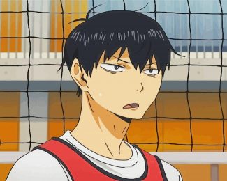 Kageyama Tobio diamond Painting