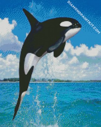 Killer Whale diamond painting