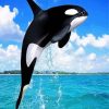 Killer Whale diamond painting