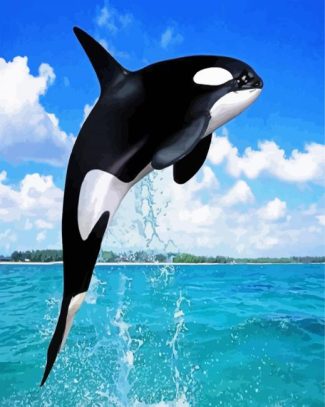 Killer Whale diamond painting