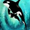 Killler Whales diamond painting