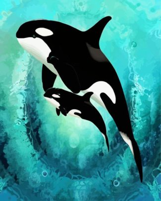 Killler Whales diamond painting