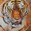 Mad Tiger diamond paintings