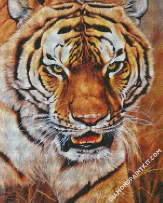 Mad Tiger diamond paintings