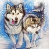 malamute Dogs diamond painting