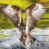 osprey Catching Fish diamond painting