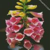 Pink Foxglove Diamond Painting