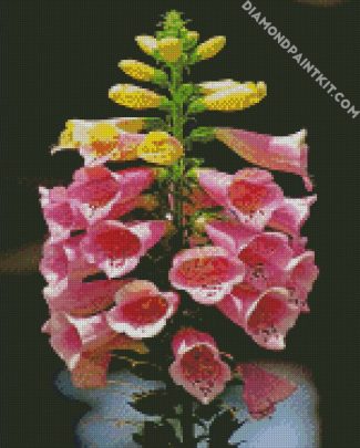 Pink Foxglove Diamond Painting