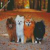 Pomeranian Puppies Dogs diamond painting