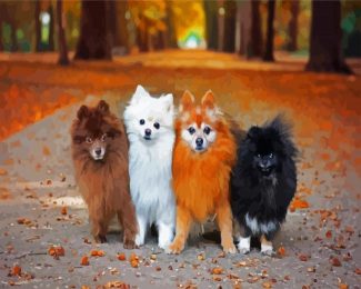 Pomeranian Puppies Dogs diamond painting