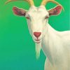 portrait of a goat diamond painting