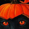 pumpkin black cat diamond painting