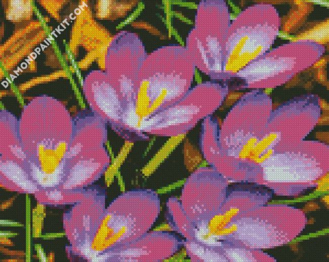 Purple Crocus diamond painting