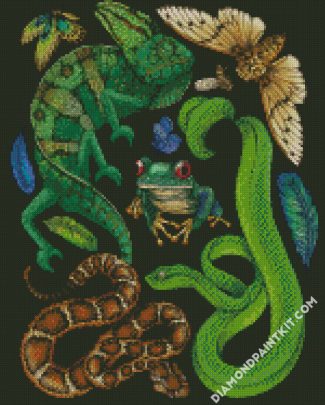 Reptile And Amphibians diamond painting