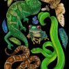 Reptile And Amphibians diamond painting