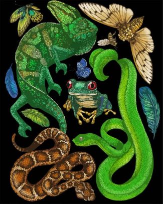 Reptile And Amphibians diamond painting