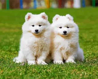 samoyed Puppies diamond painting