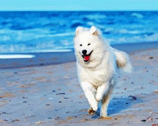 samoyed dog Running diamond painting