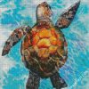 Sea Turtle 2 diamond painting