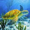 Sea Turtle diamond painting