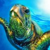 Sea Turtle In The Water diamond painting