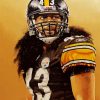 Troy Polamalu Steelers diamond painting