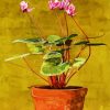 vintage pink cyclamen diamond painting