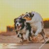 Wet Collies diamond painting