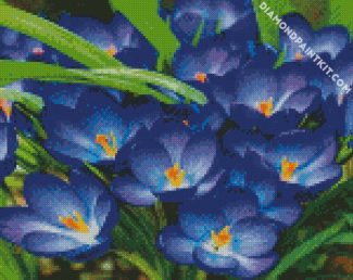 Whitewell Purple Crocus diamond painting