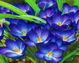 Whitewell Purple Crocus diamond painting