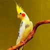 Yellow Cockatiel diamond painting