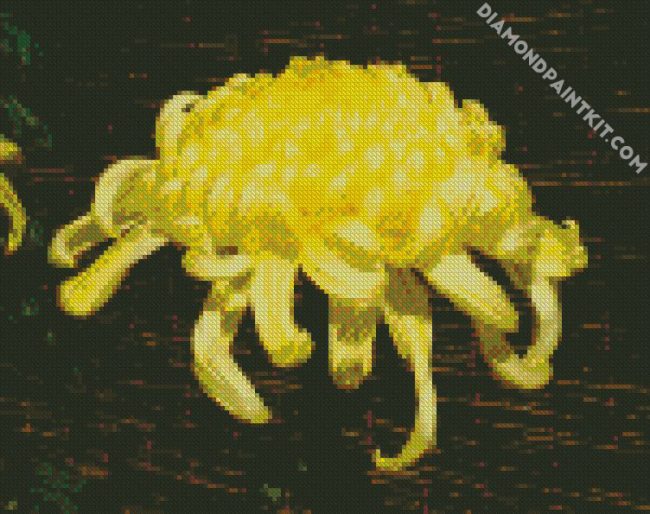 Yellow Chrysthamum diamond painting