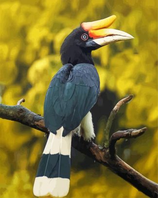 The Hornbill Bird diamond painting