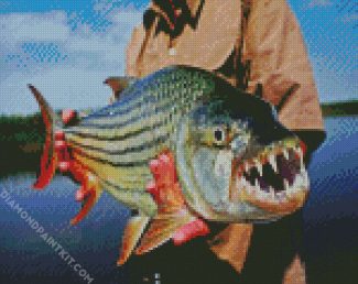 African Tiger Fish diamond painting