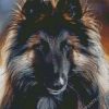 Belgian Tervuren Dog diamond painting