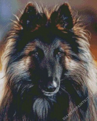 Belgian Tervuren Dog diamond painting