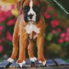 Boxer Puppy diamond painting