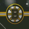 Bruins Ice Hockey logo Team diamond painting